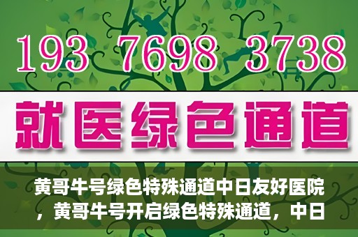 黄哥牛号绿色特殊通道中日友好医院，黄哥牛号开启绿色特殊通道，中日友好医院展现友好服务新篇章
