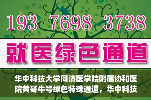 华中科技大学同济医学院附属协和医院黄哥牛号绿色特殊通道，华中科技大学同济医学院附属协和医院黄哥牛号绿色就医特殊通道揭秘