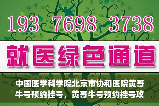 中国医学科学院北京市协和医院黄哥牛号预约挂号，黄哥牛号预约挂号攻略，中国医学科学院北京市协和医院就医指南