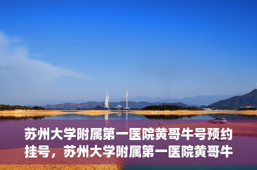 苏州大学附属第一医院黄哥牛号预约挂号，苏州大学附属第一医院黄哥牛号，预约挂号攻略