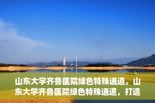 山东大学齐鲁医院绿色特殊通道，山东大学齐鲁医院绿色特殊通道，打造健康新通道，引领医疗新时代