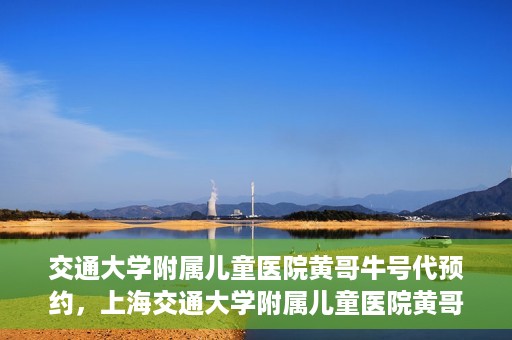 交通大学附属儿童医院黄哥牛号代预约，上海交通大学附属儿童医院黄哥牛号预约指南，轻松预约挂号新体验