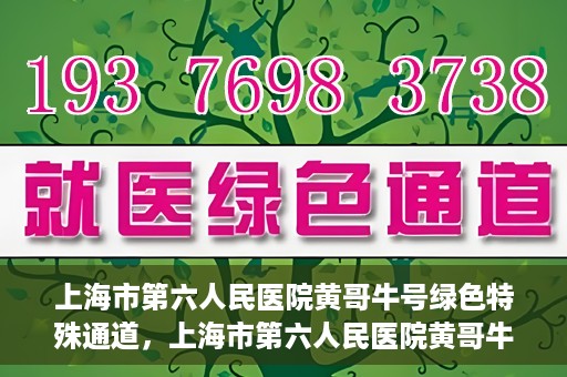上海市第六人民医院黄哥牛号绿色特殊通道，上海市第六人民医院黄哥牛号，绿色特殊通道开启