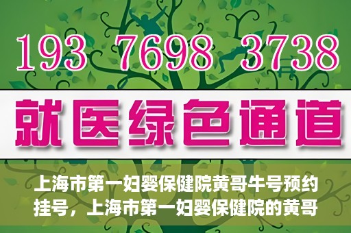 上海市第一妇婴保健院黄哥牛号预约挂号，上海市第一妇婴保健院的黄哥牛号预约挂号指南