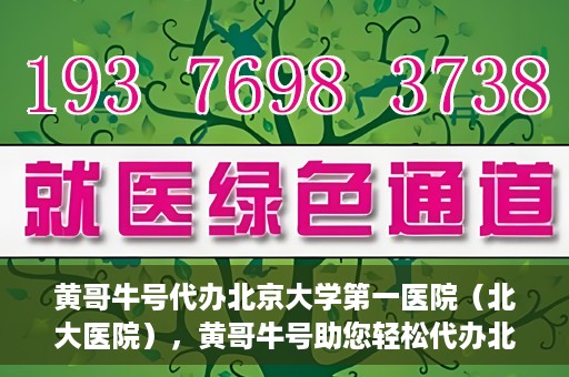 黄哥牛号代办北京大学第一医院（北大医院），黄哥牛号助您轻松代办北大医院事务，一站式服务开启就医新篇章