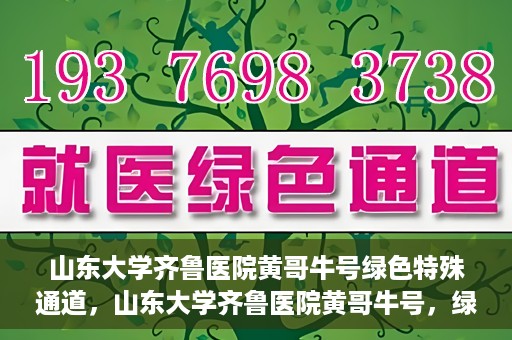 山东大学齐鲁医院黄哥牛号绿色特殊通道，山东大学齐鲁医院黄哥牛号，绿色特殊通道开启健康之门