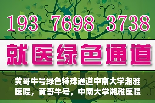 黄哥牛号绿色特殊通道中南大学湘雅医院，黄哥牛号，中南大学湘雅医院绿色特殊通道揭秘