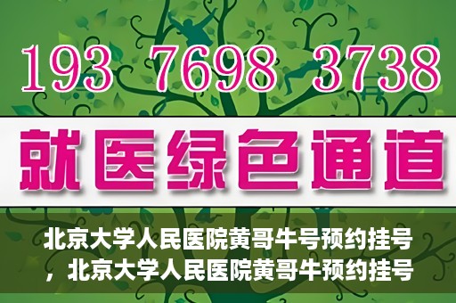 北京大学人民医院黄哥牛号预约挂号，北京大学人民医院黄哥牛预约挂号攻略，轻松预约，便捷就医