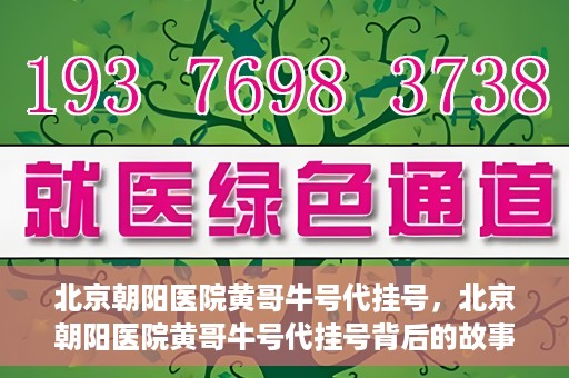 北京朝阳医院黄哥牛号代挂号，北京朝阳医院黄哥牛号代挂号背后的故事揭秘