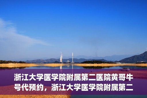 浙江大学医学院附属第二医院黄哥牛号代预约，浙江大学医学院附属第二医院黄哥牛号预约攻略，轻松解决挂号难题