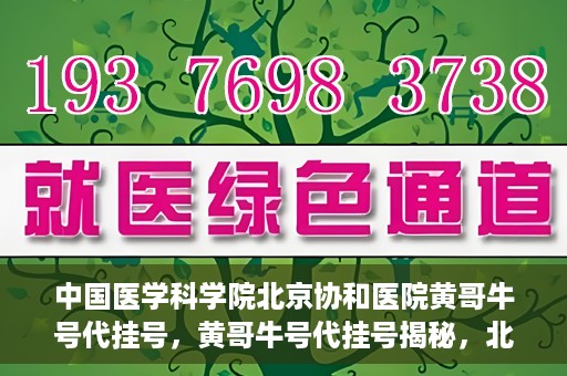 中国医学科学院北京协和医院黄哥牛号代挂号，黄哥牛号代挂号揭秘，北京协和医院挂号背后的故事