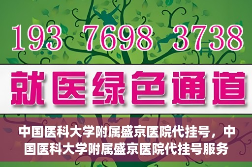 中国医科大学附属盛京医院代挂号，中国医科大学附属盛京医院代挂号服务详解