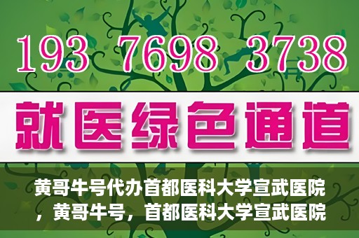 黄哥牛号代办首都医科大学宣武医院，黄哥牛号，首都医科大学宣武医院代办服务