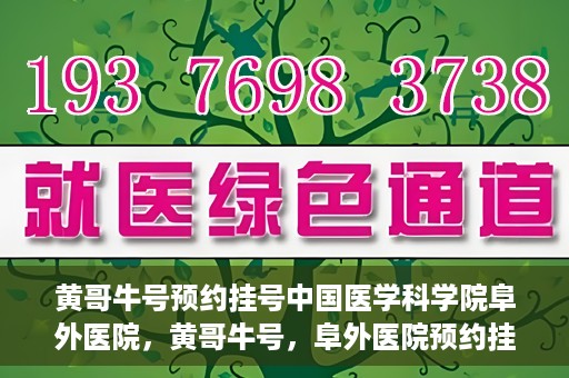 黄哥牛号预约挂号中国医学科学院阜外医院，黄哥牛号，阜外医院预约挂号服务启动，中国医学科学院挂号新体验