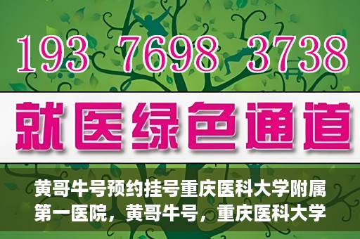 黄哥牛号预约挂号重庆医科大学附属第一医院，黄哥牛号，重庆医科大学附属第一医院预约挂号服务开启