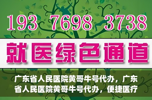 广东省人民医院黄哥牛号代办，广东省人民医院黄哥牛号代办，便捷医疗新途径