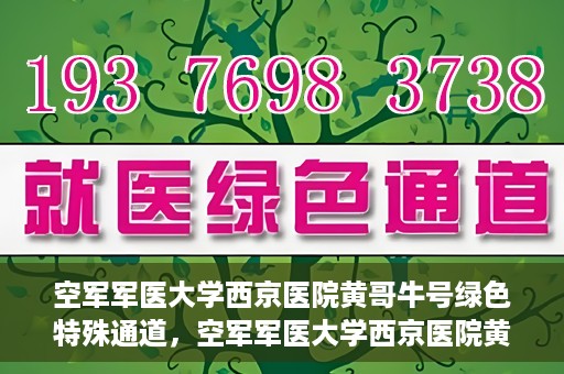 空军军医大学西京医院黄哥牛号绿色特殊通道，空军军医大学西京医院黄哥牛号，绿色特殊通道开启健康之门