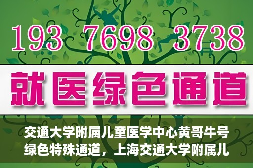 交通大学附属儿童医学中心黄哥牛号绿色特殊通道，上海交通大学附属儿童医学中心黄哥牛号，绿色特殊通道的守护者们