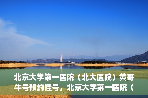 北京大学第一医院（北大医院）黄哥牛号预约挂号，北京大学第一医院（北大医院）黄哥牛号，预约挂号攻略