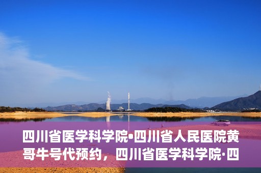 四川省医学科学院•四川省人民医院黄哥牛号代预约，四川省医学科学院·四川省人民医院黄哥名医号预约启动