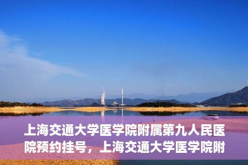 上海交通大学医学院附属第九人民医院预约挂号，上海交通大学医学院附属第九人民医院预约挂号指南，轻松挂号，便捷就医新体验