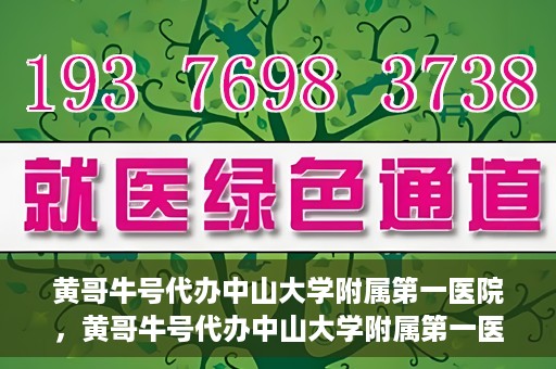 黄哥牛号代办中山大学附属第一医院，黄哥牛号代办中山大学附属第一医院业务手续全攻略