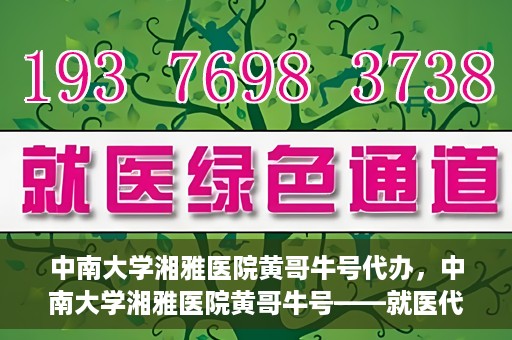 中南大学湘雅医院黄哥牛号代办，中南大学湘雅医院黄哥牛号——就医代办服务详解