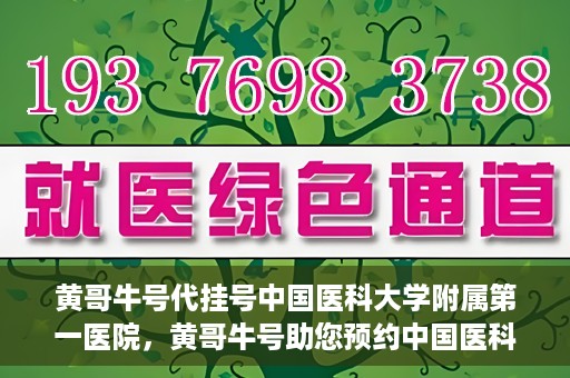 黄哥牛号代挂号中国医科大学附属第一医院，黄哥牛号助您预约中国医科大学附属第一医院专家号