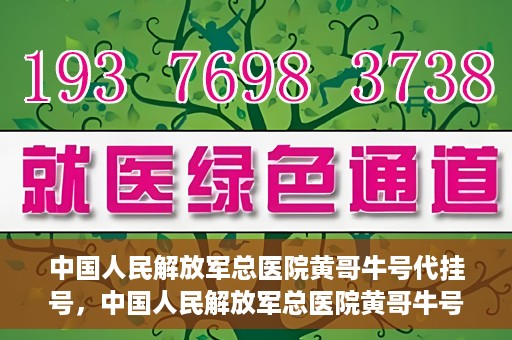 中国人民解放军总医院黄哥牛号代挂号，中国人民解放军总医院黄哥牛号代挂号解析，揭秘挂号背后的故事