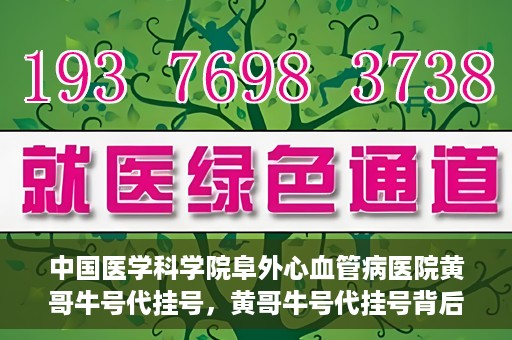 中国医学科学院阜外心血管病医院黄哥牛号代挂号，黄哥牛号代挂号背后的故事，阜外心血管病医院的探索与挑战