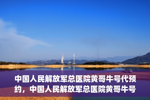 中国人民解放军总医院黄哥牛号代预约，中国人民解放军总医院黄哥牛号预约服务解析