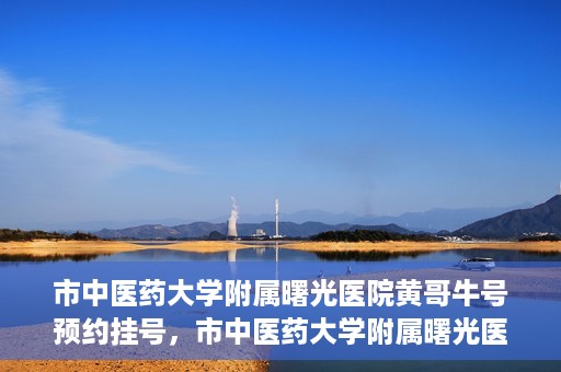 市中医药大学附属曙光医院黄哥牛号预约挂号，市中医药大学附属曙光医院黄哥牛号，预约挂号攻略