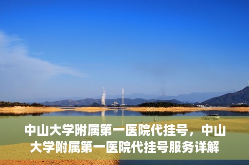 中山大学附属第一医院代挂号，中山大学附属第一医院代挂号服务详解