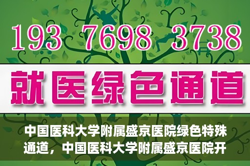 中国医科大学附属盛京医院绿色特殊通道，中国医科大学附属盛京医院开通绿色特殊通道，助力患者快速就医
