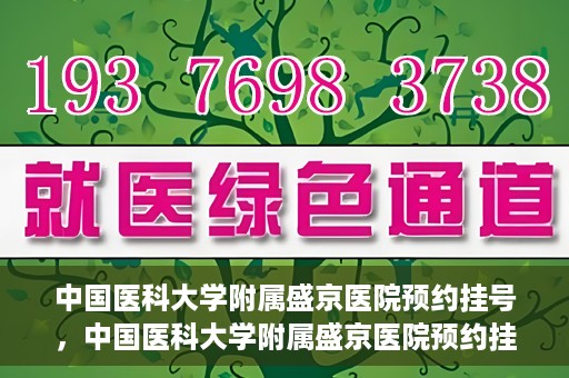 中国医科大学附属盛京医院预约挂号，中国医科大学附属盛京医院预约挂号指南，一站式解决您的挂号难题