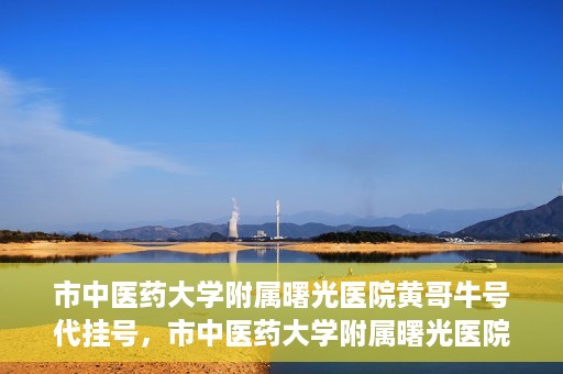 市中医药大学附属曙光医院黄哥牛号代挂号，市中医药大学附属曙光医院黄哥牛号代挂号服务解析