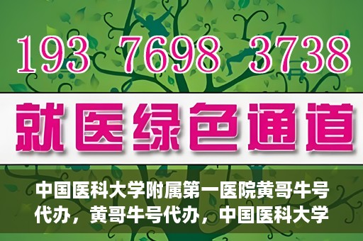 中国医科大学附属第一医院黄哥牛号代办，黄哥牛号代办，中国医科大学附属第一医院挂号服务新动向
