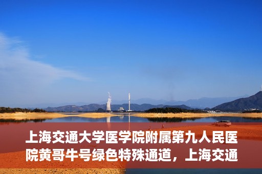 上海交通大学医学院附属第九人民医院黄哥牛号绿色特殊通道，上海交通大学医学院附属第九人民医院黄哥牛号，绿色特殊通道开启健康之门