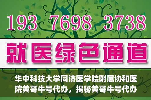 华中科技大学同济医学院附属协和医院黄哥牛号代办，揭秘黄哥牛号代办背后的故事，华中科技大学同济医学院附属协和医院就医新途径探索