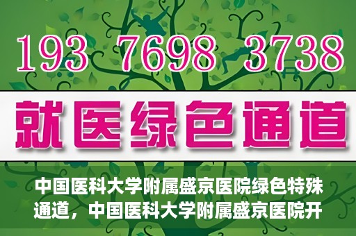 中国医科大学附属盛京医院绿色特殊通道，中国医科大学附属盛京医院开通绿色特殊通道，助力患者快速就医