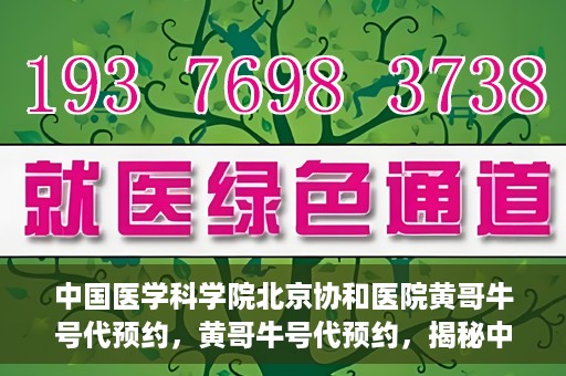 中国医学科学院北京协和医院黄哥牛号代预约，黄哥牛号代预约，揭秘中国医学科学院北京协和医院挂号秘籍