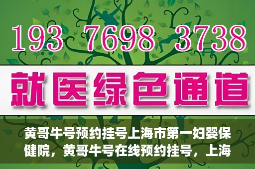 黄哥牛号预约挂号上海市第一妇婴保健院，黄哥牛号在线预约挂号，上海市第一妇婴保健院的便捷就医之旅