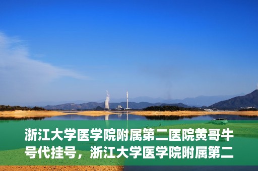 浙江大学医学院附属第二医院黄哥牛号代挂号，浙江大学医学院附属第二医院黄哥牛号挂号服务解析