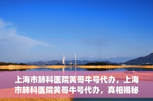 上海市肺科医院黄哥牛号代办，上海市肺科医院黄哥牛号代办，真相揭秘与深度解读
