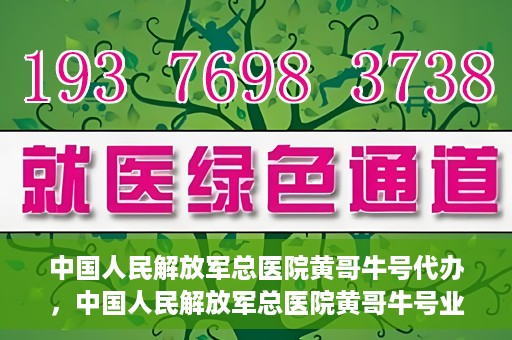 中国人民解放军总医院黄哥牛号代办，中国人民解放军总医院黄哥牛号业务代办揭秘