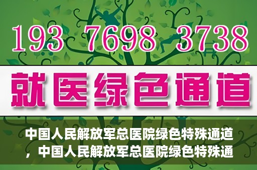 中国人民解放军总医院绿色特殊通道，中国人民解放军总医院绿色特殊通道，医疗服务的紧急通道与人文关怀的完美结合
