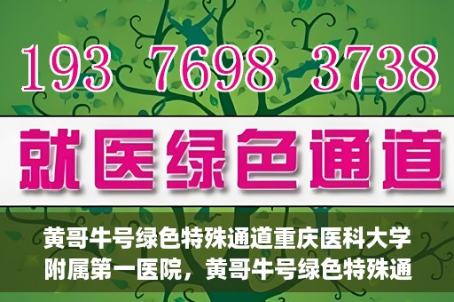 黄哥牛号绿色特殊通道重庆医科大学附属第一医院，黄哥牛号绿色特殊通道，重庆医科大学附属第一医院实践探索