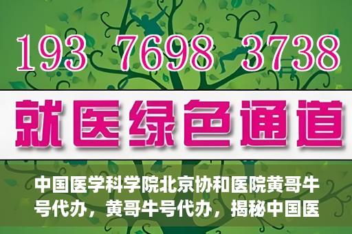中国医学科学院北京协和医院黄哥牛号代办，黄哥牛号代办，揭秘中国医学科学院北京协和医院背后的故事