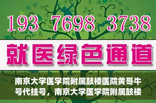 南京大学医学院附属鼓楼医院黄哥牛号代挂号，南京大学医学院附属鼓楼医院黄哥牛号代挂号解析，专业解读与预约攻略