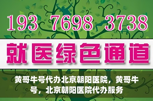 黄哥牛号代办北京朝阳医院，黄哥牛号，北京朝阳医院代办服务